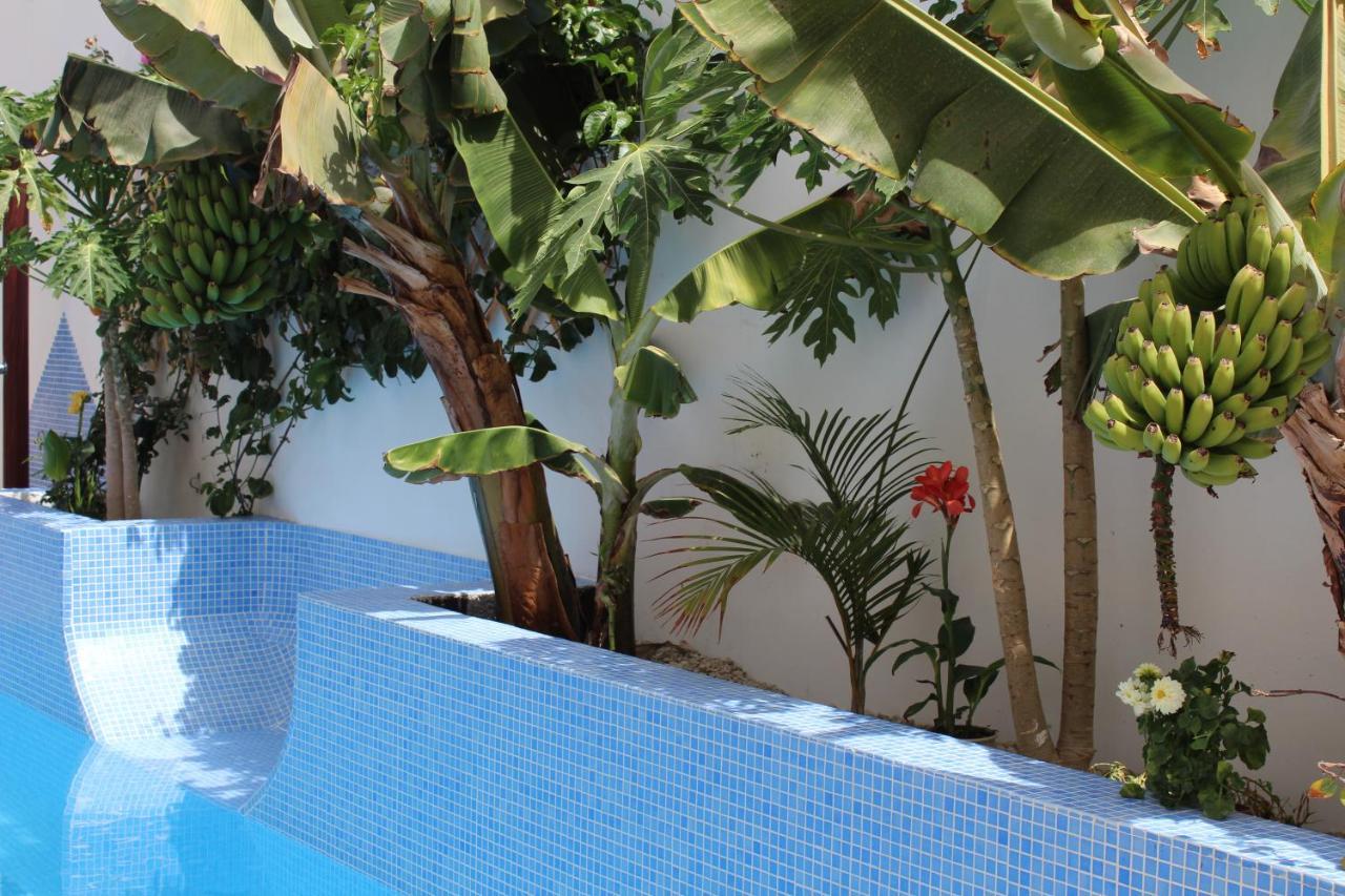 Casa El Olivo, Tenerife Valle de San Lorenzo Exteriör bild
